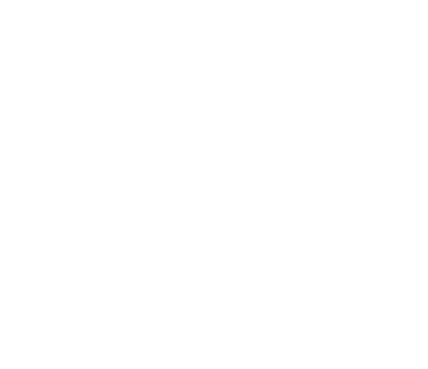 Vital Negócios